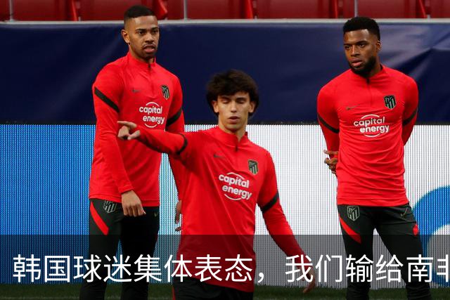 韩国球迷集体表态，我们输给南非，是因为中国国足坑了我们